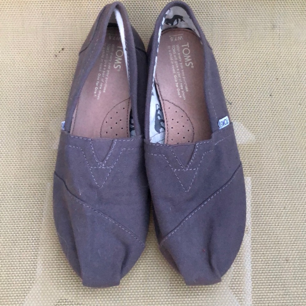 Grey Toms